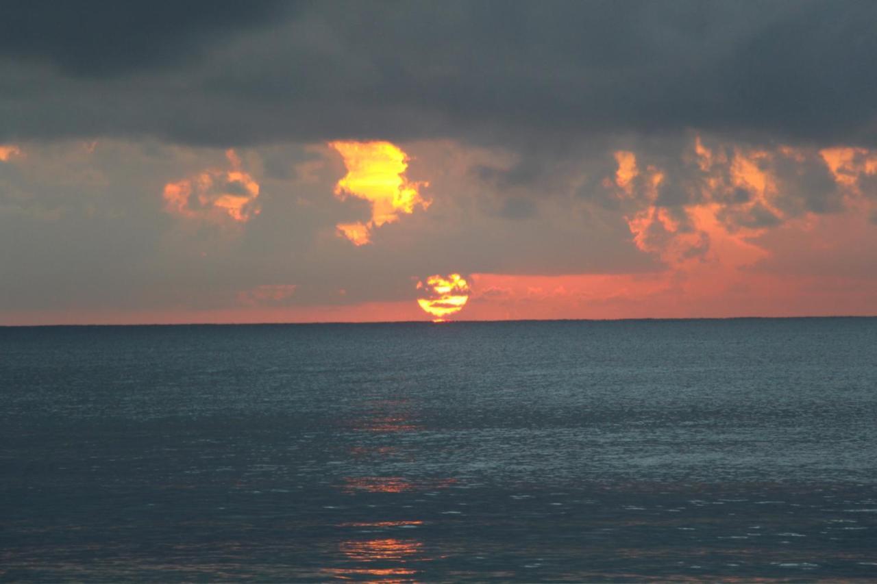 Beautiful & Cozy Studio In Akumal Paradise-Wifi, Ac Exterior foto